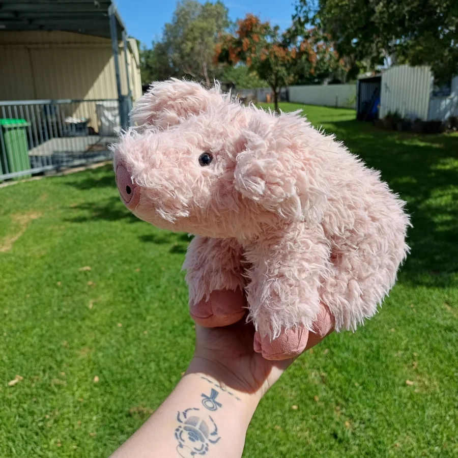 Side - Curvie Pig photo by herbgardenplush