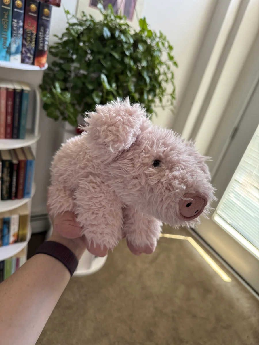 Front - Curvie Pig photo by abent