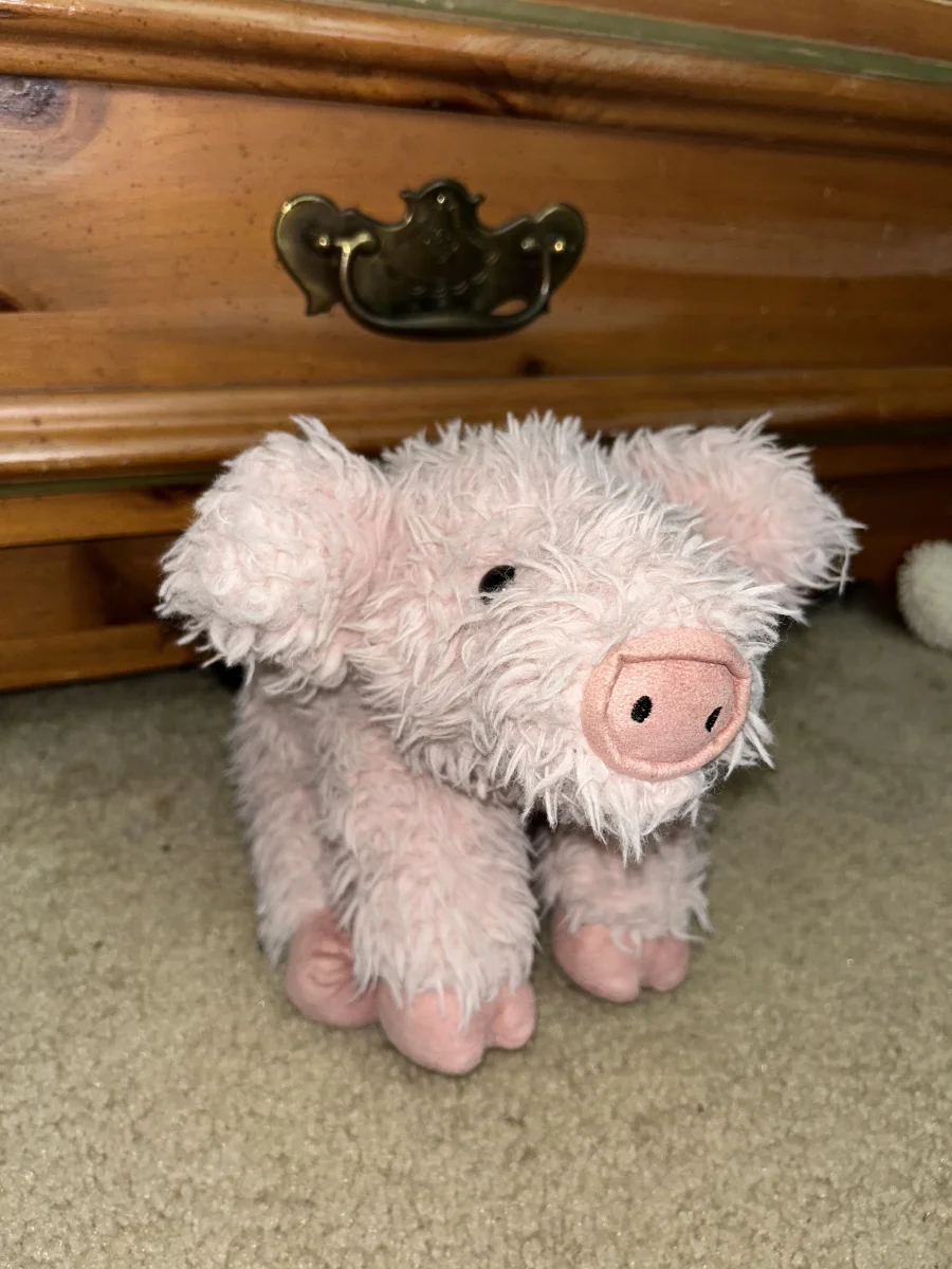 Front - Curvie Pig photo by averyd2003