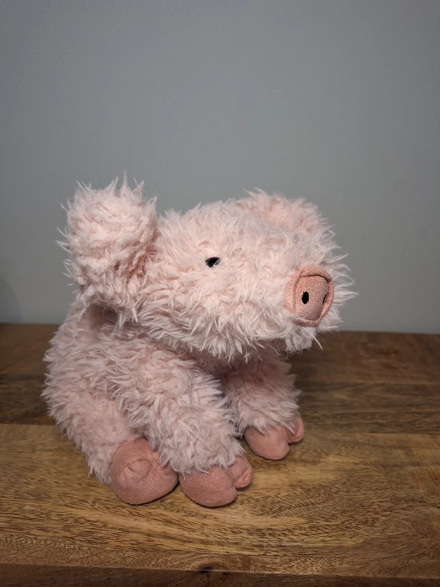 Front - Curvie Pig photo by Sofie