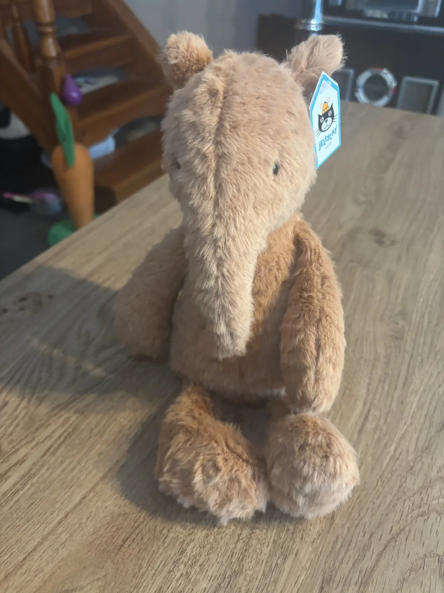 Front - Rolie Polie Anteater photo by CharlieP