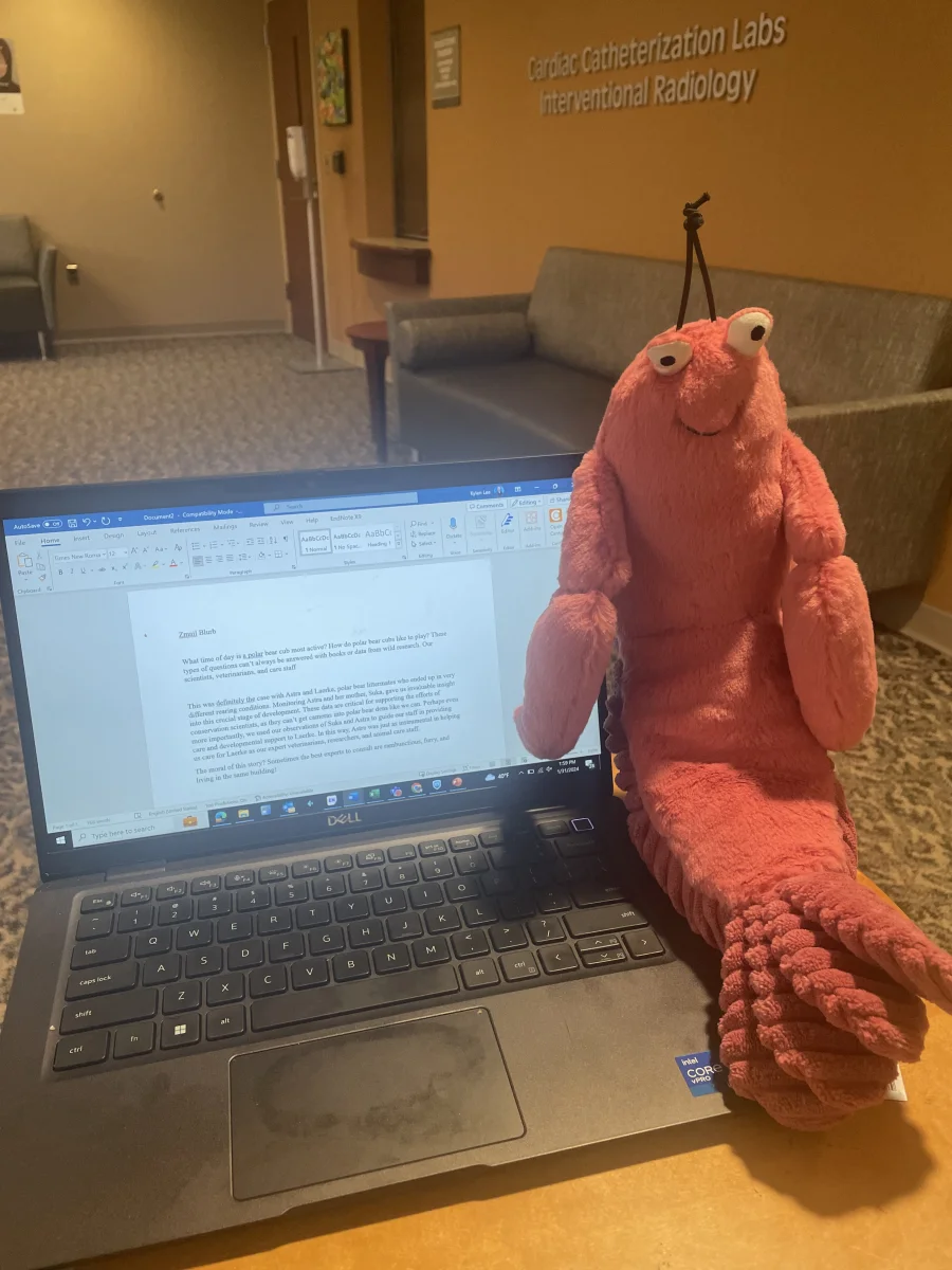 Front - Larry Lobster photo by ForestStag