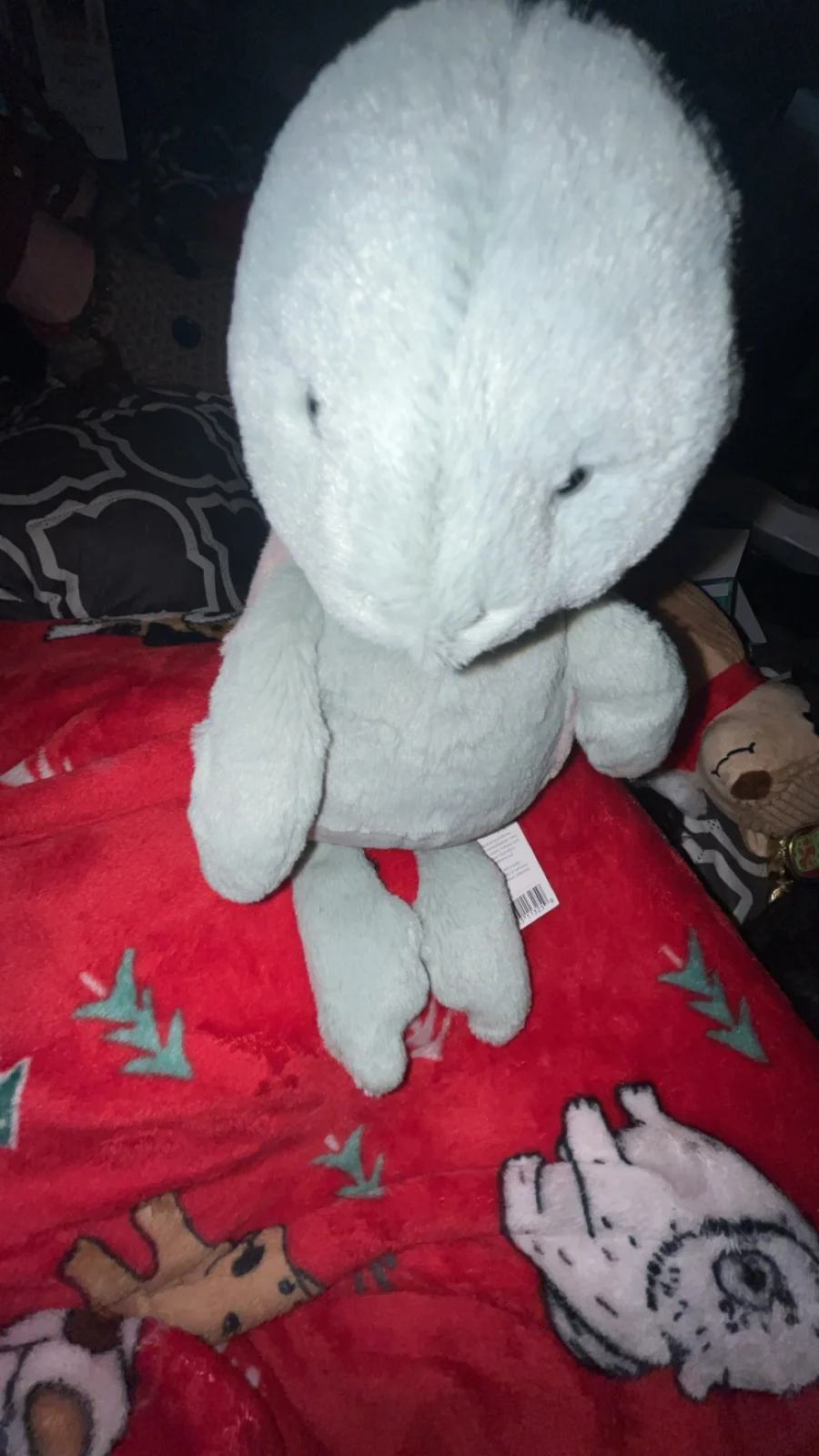 Front - Bashful Turtle - Medium photo by Hannahjelly06