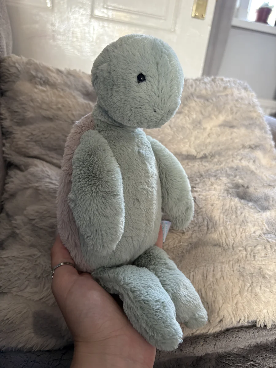 Side - Bashful Turtle - Medium photo by Natashajade