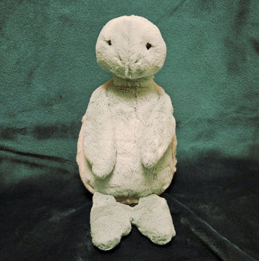 Front - Bashful Turtle - Medium photo by minnievan