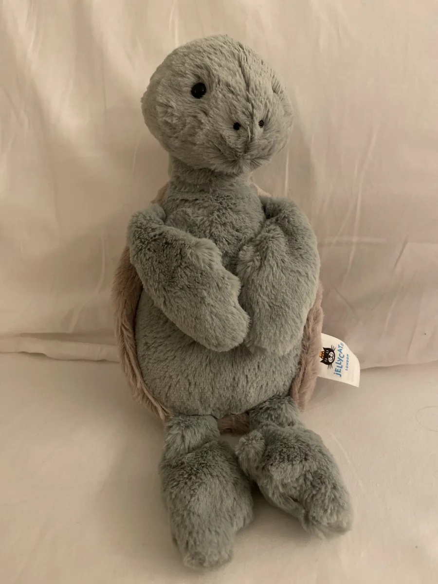 Side - Bashful Turtle - Medium photo by Swiftiejellycat