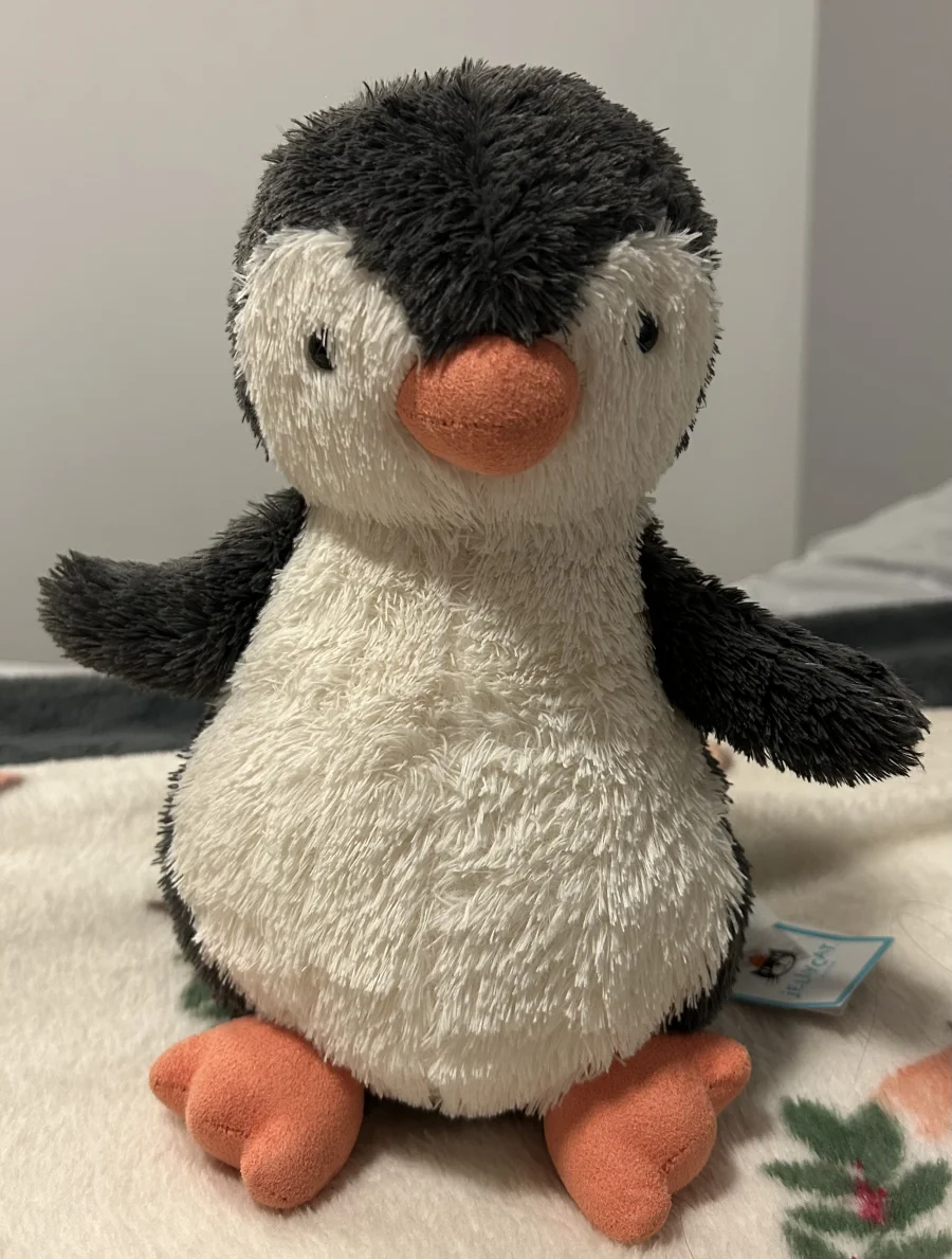 Front - Peanut Penguin - Medium photo by herbycat