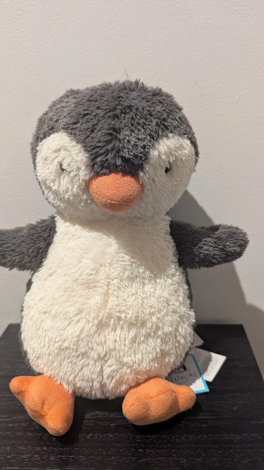Front - Peanut Penguin - Medium photo by Herm_the_worm