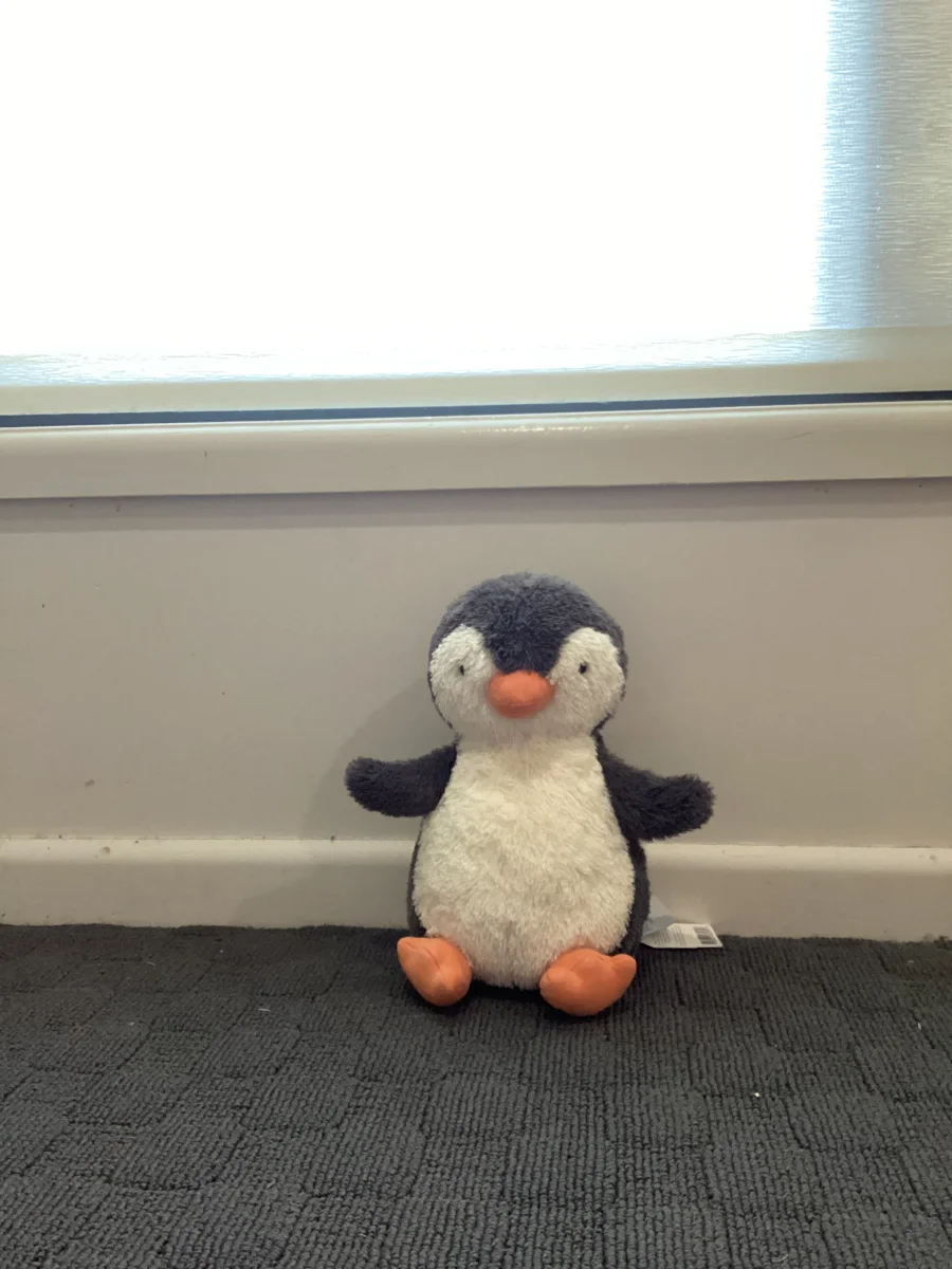 Front - Peanut Penguin - Medium photo by Lacey67