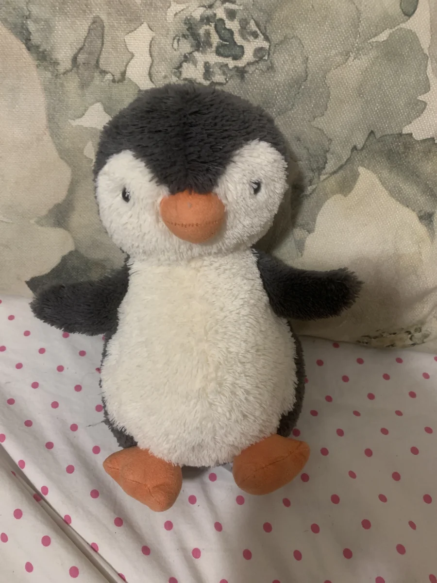 Front - Peanut Penguin - Medium photo by Peanutp27