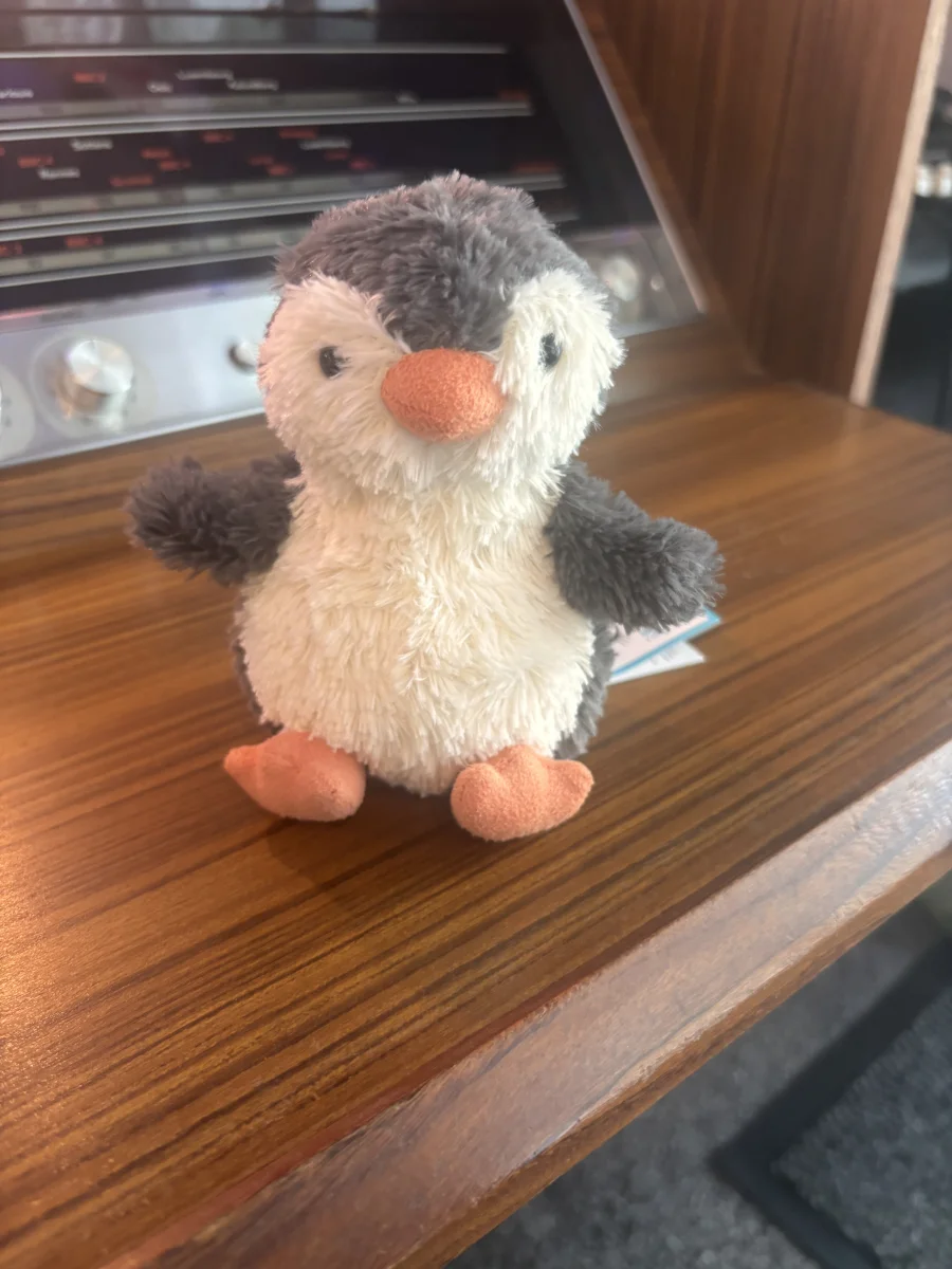 Front - Peanut Penguin - Small photo by CharlieP