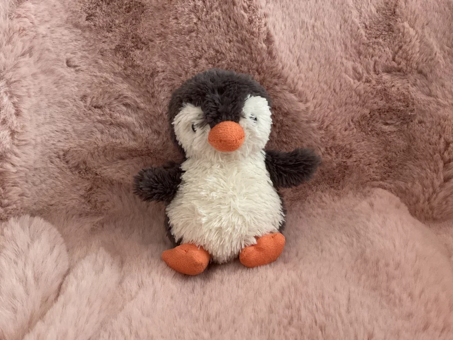 Front - Peanut Penguin - Small photo by doopsybunny