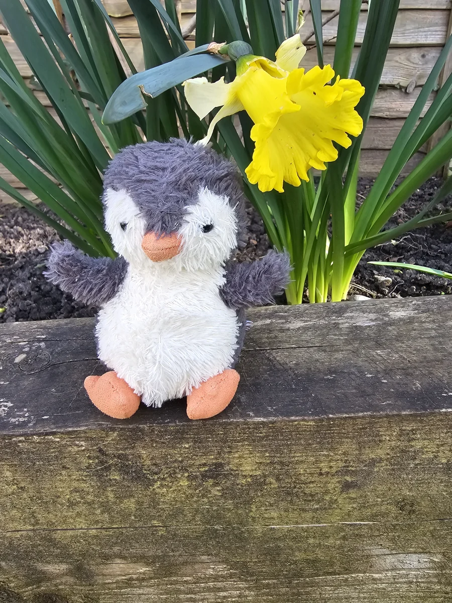 Front - Peanut Penguin - Small photo by Ilovejelly
