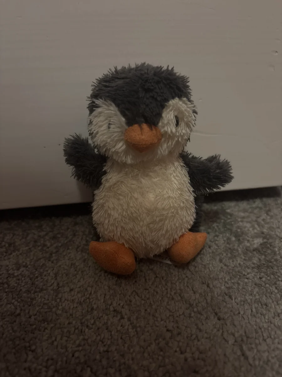 Front - Peanut Penguin - Small photo by darcyy12