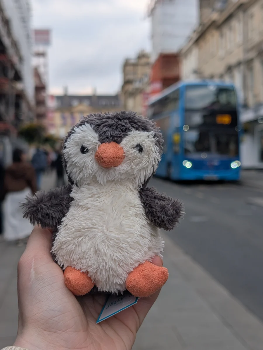 Front - Peanut Penguin - Small photo by Boo