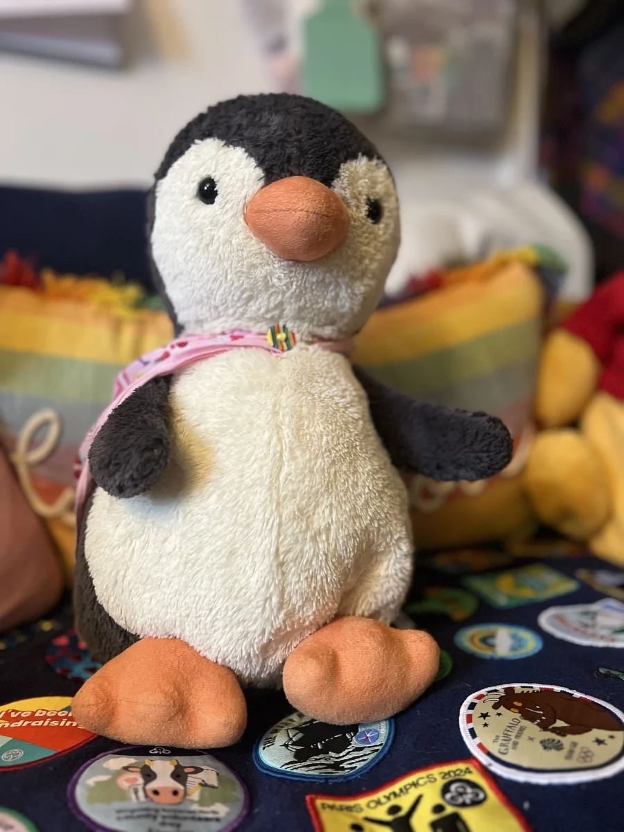 Front - Peanut Penguin - Large photo by Megan_Daffodil