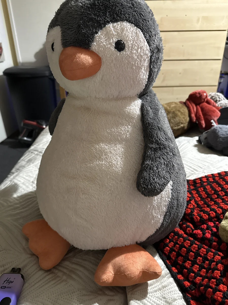 Front - Peanut Penguin - Really Big photo by Alivia123