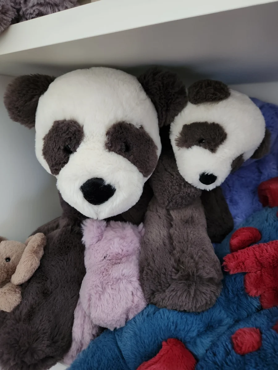 Front - Huggady Panda photo by emilliebee