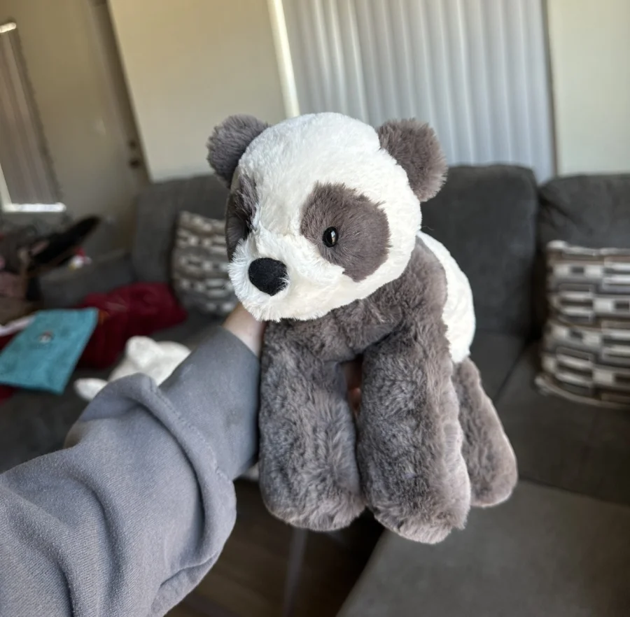 Front - Huggady Panda photo by JodysJellies
