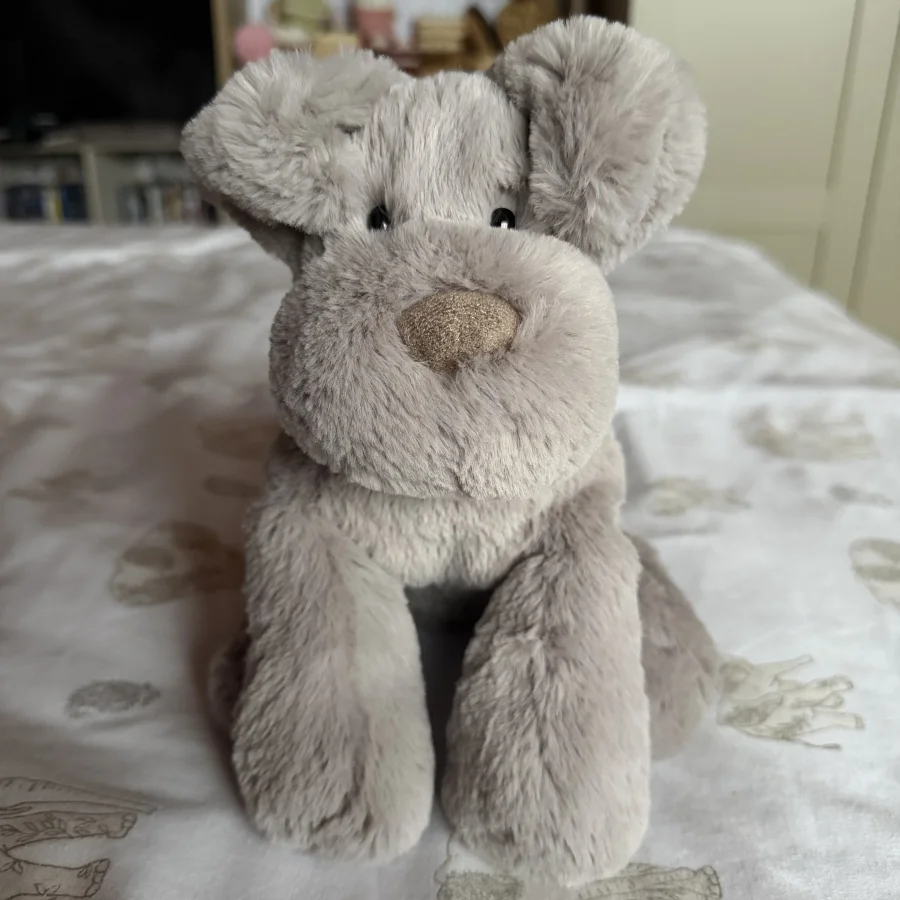 Front - Huggady Dog photo by Rach01