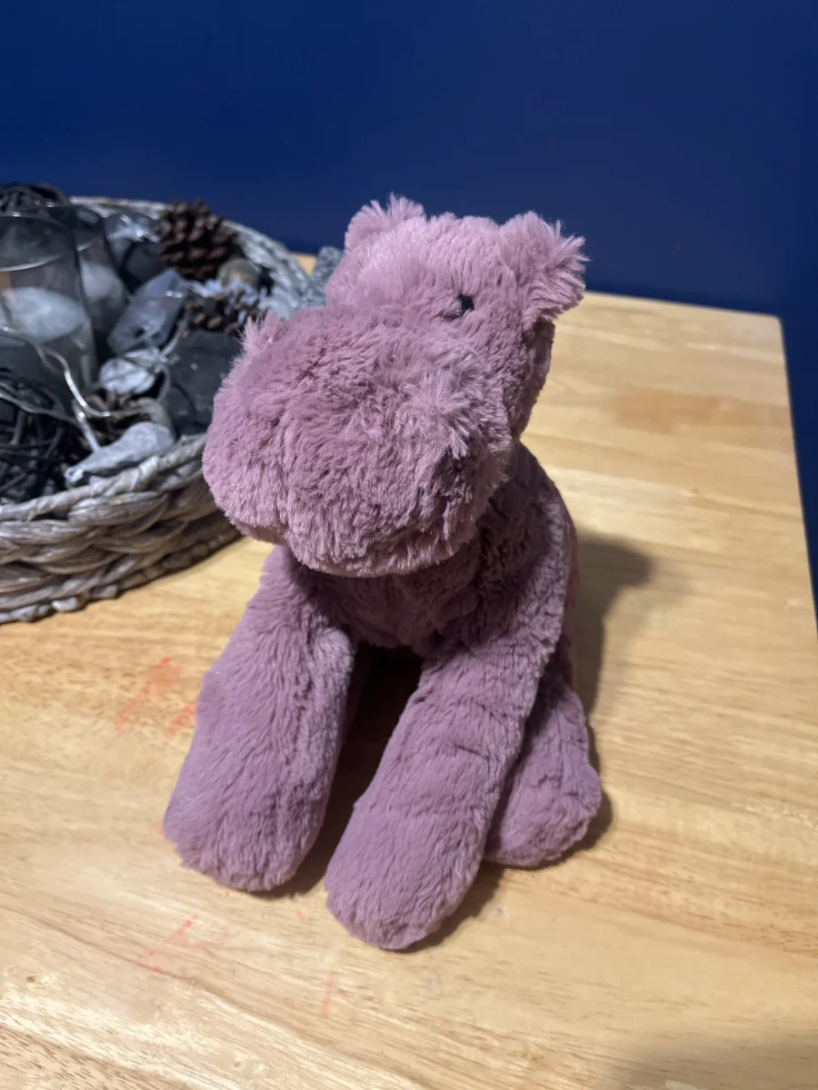 Front - Huggady Hippo photo by JellyKerry