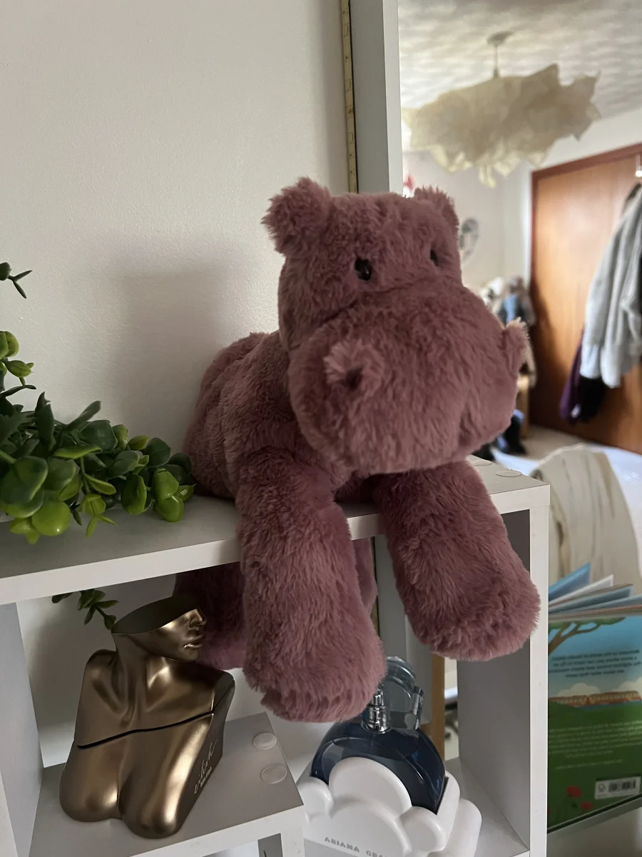 Front - Huggady Hippo photo by Wydnicky