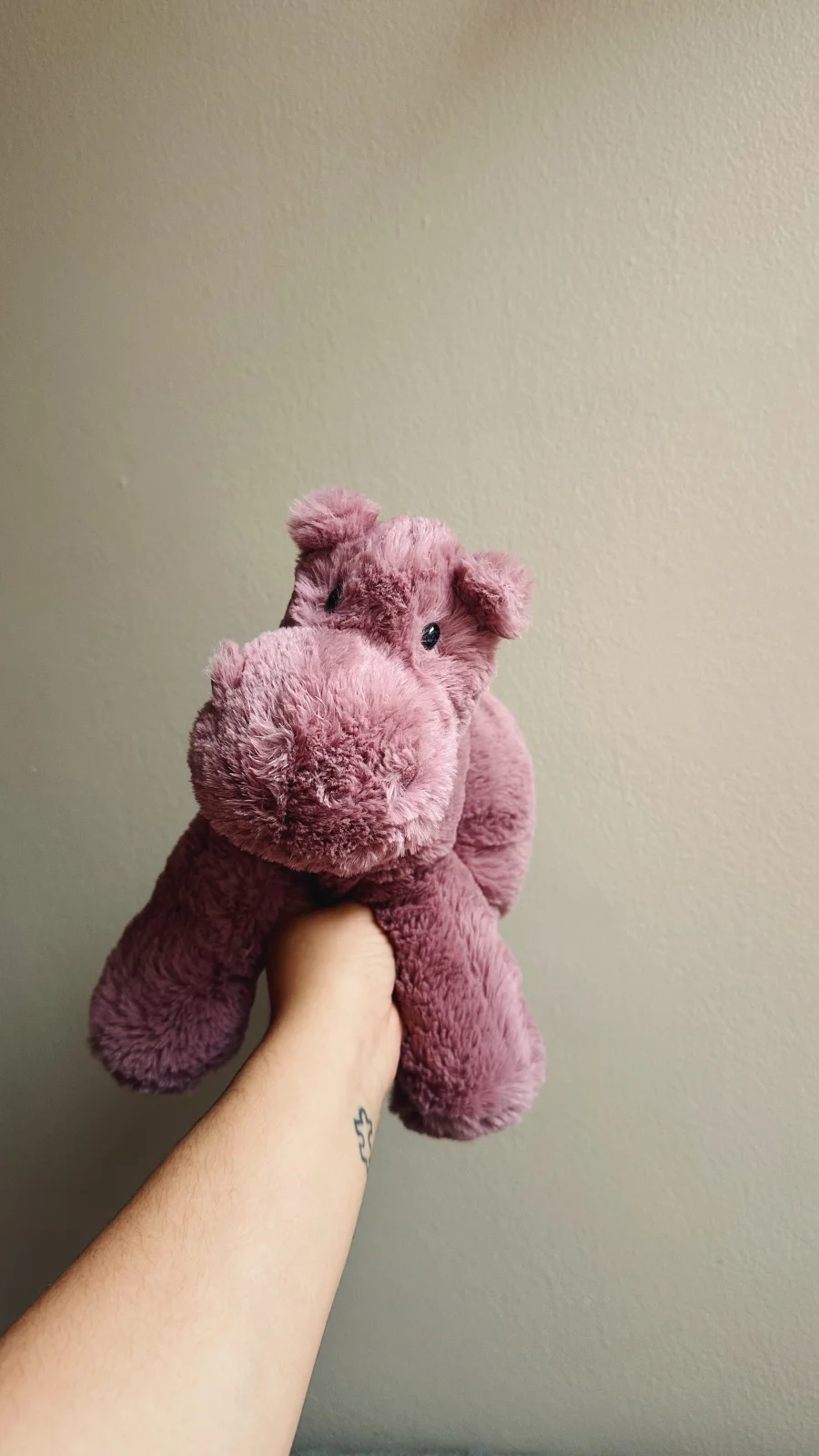 Front - Huggady Hippo photo by brisjellyjournal