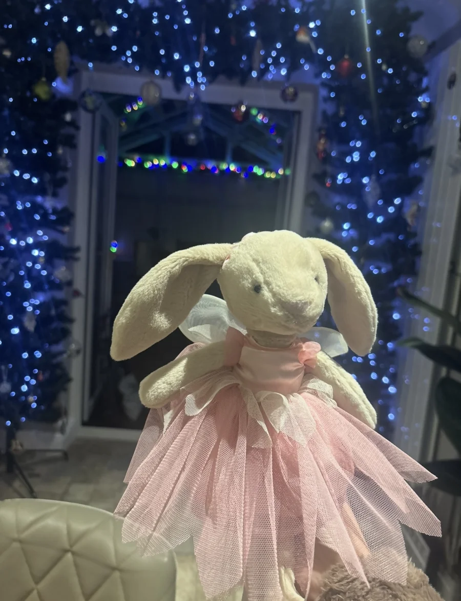 Front - Lottie Bunny Fairy photo by ellyxcats