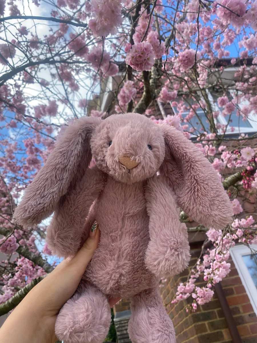 Front - Bashful Luxe Bunny Rosa photo by hattielight
