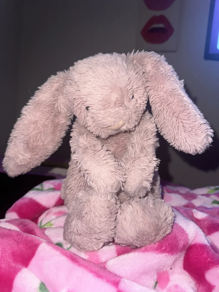 Front - Bashful Luxe Bunny Rosa photo by hannah7x