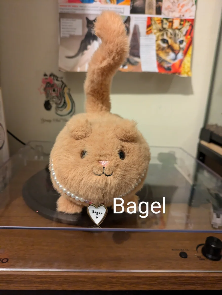 Front - Kitten Caboodle - Ginger photo by Boo