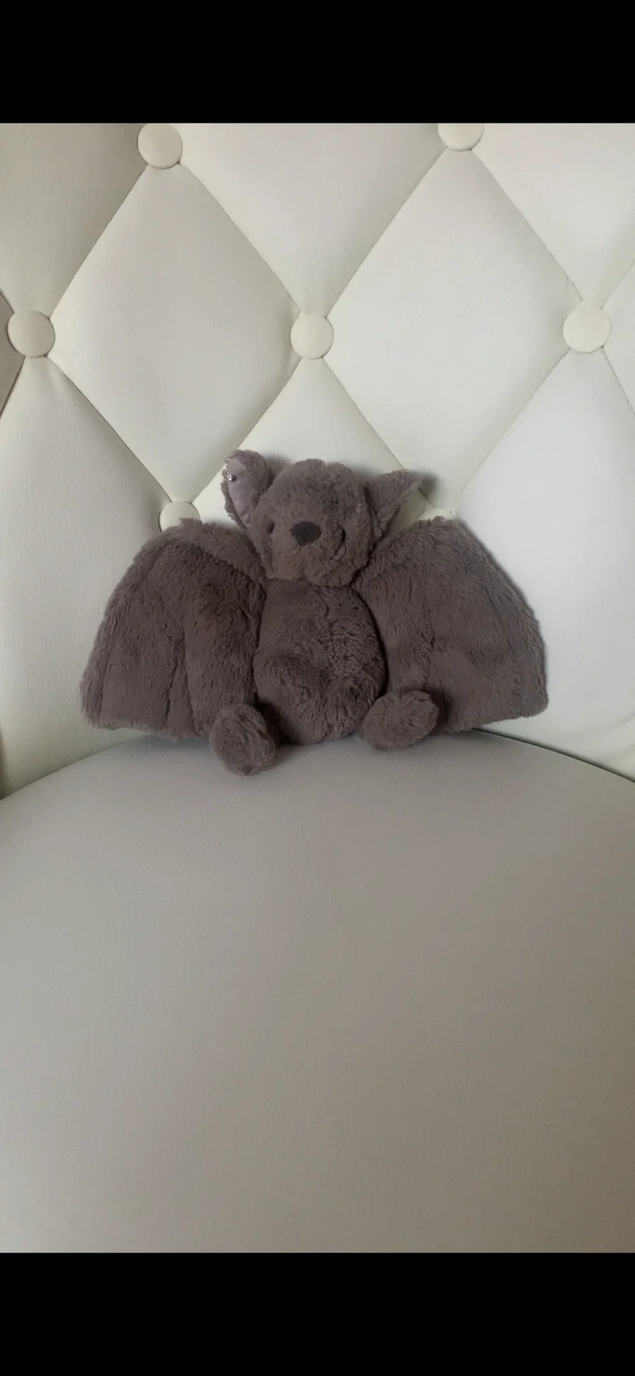 Front - Bashful Bat - Small photo by its.amb3rrx