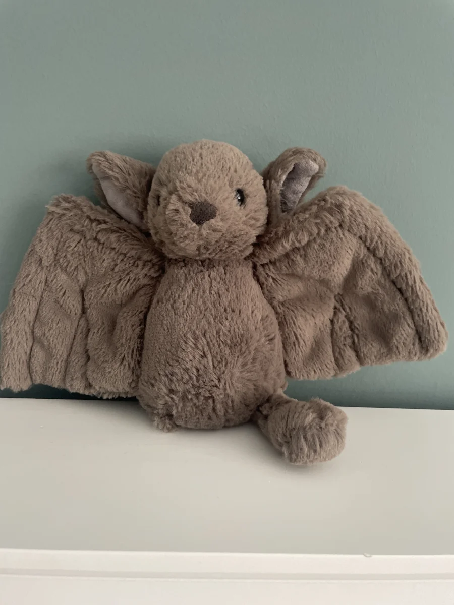Front - Bashful Bat - Small photo by buzzy_cat12