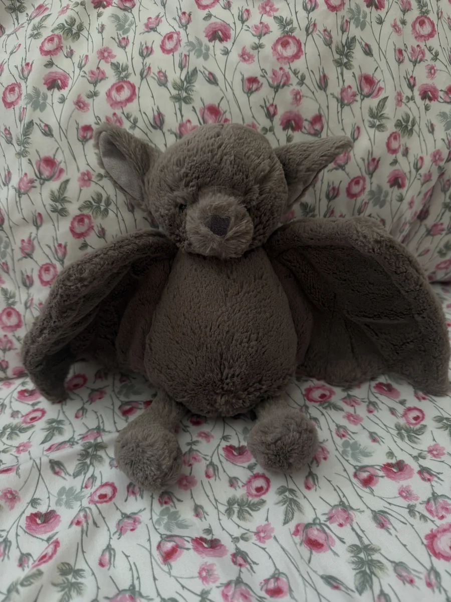 Front - Bashful Bat - Small photo by lidiia