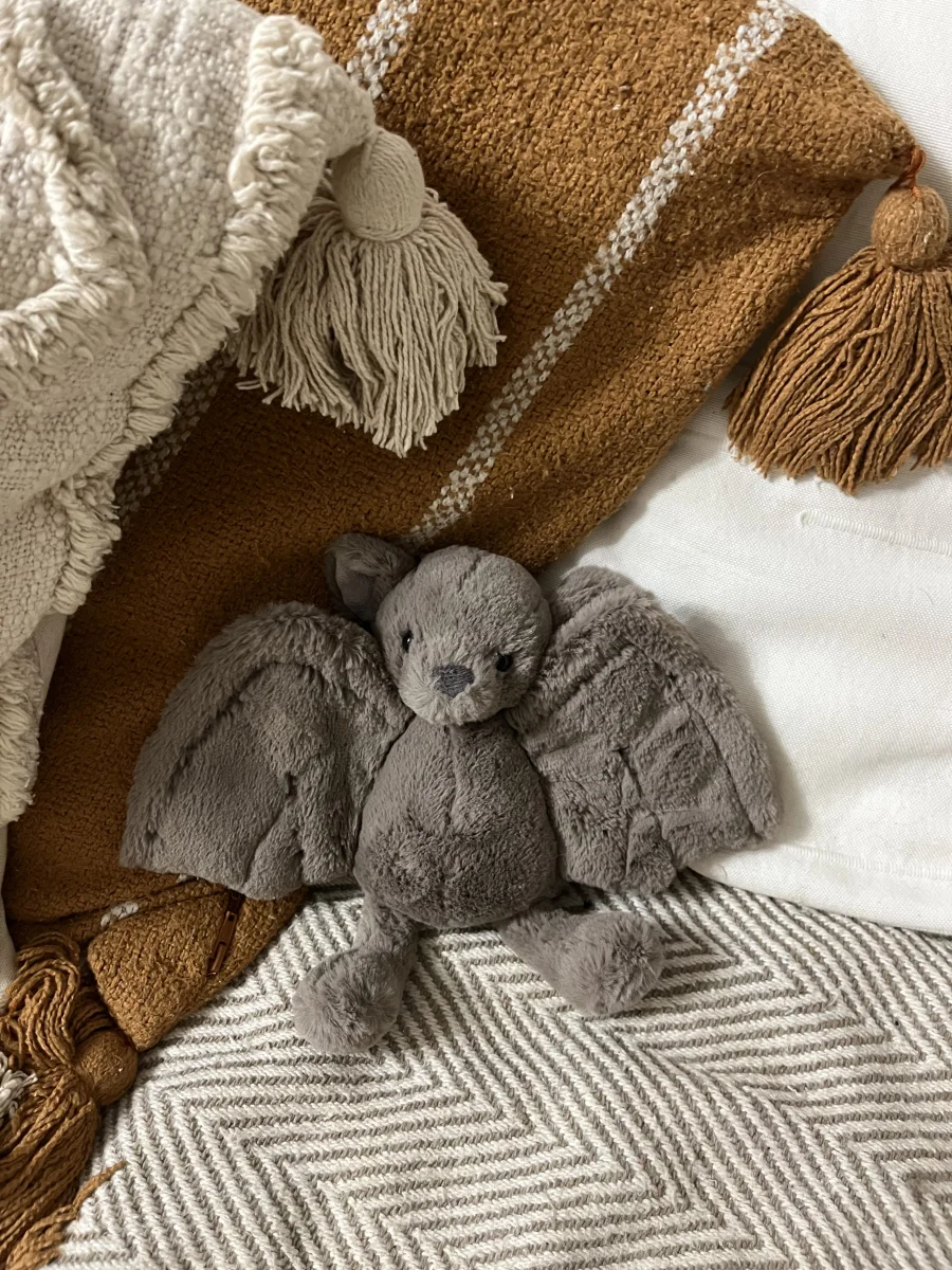 Front - Bashful Bat - Small photo by Ambiedoo