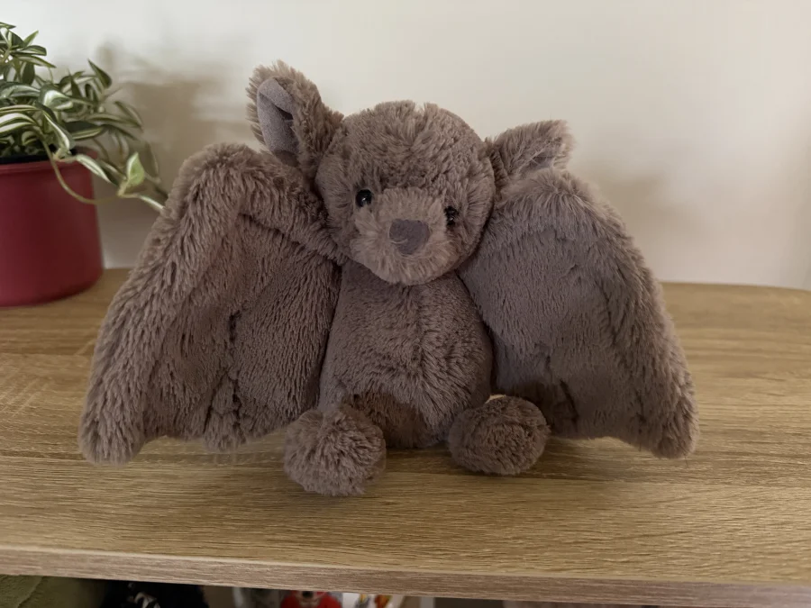 Front - Bashful Bat - Small photo by chantalpoort