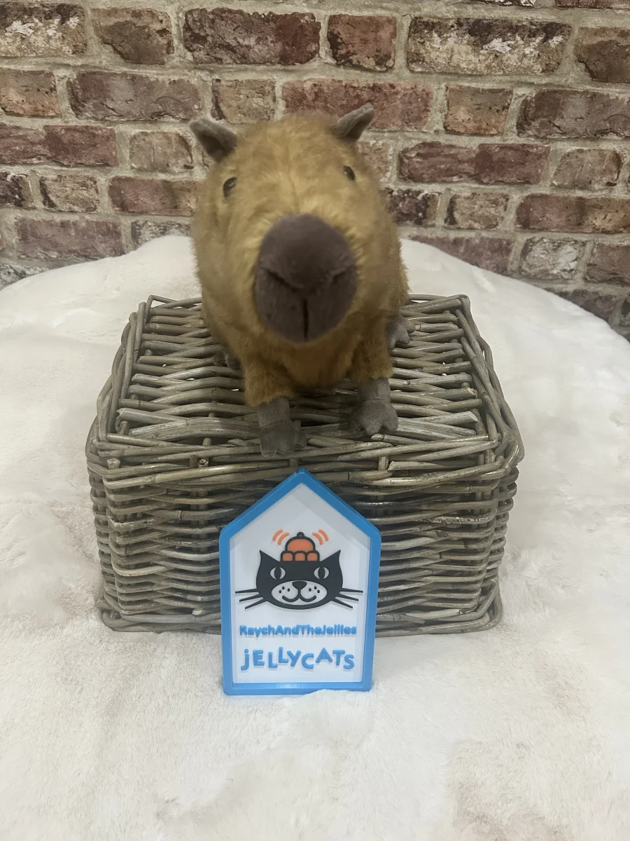 Front - Clyde Capybara photo by Raychandthejellies