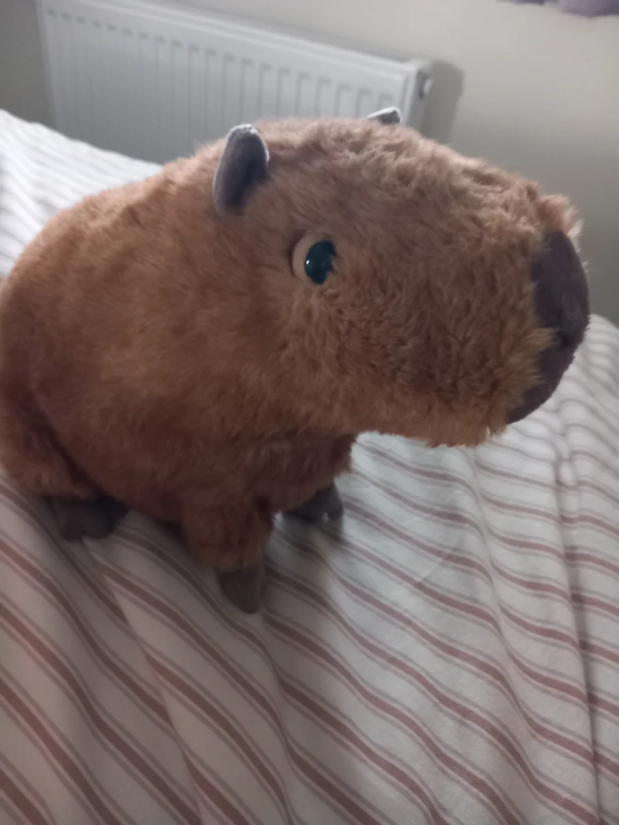 Side - Clyde Capybara photo by Livia_Is_The_Best