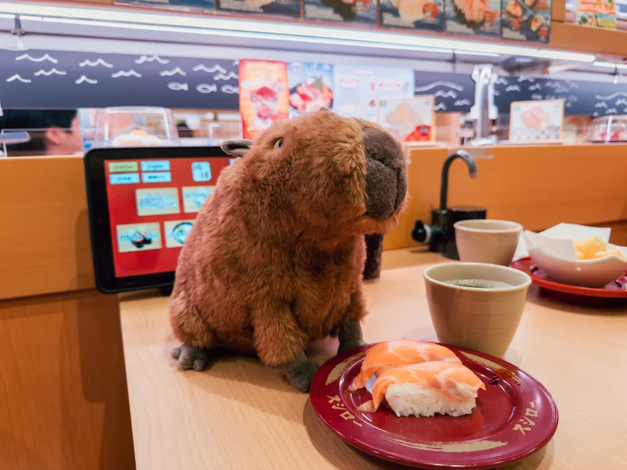 Lifestyle - Clyde Capybara photo by bonbon5669