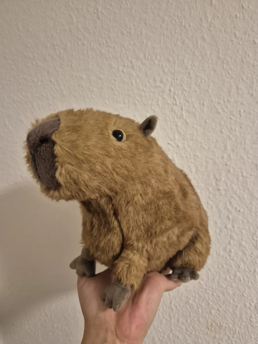 Side - Clyde Capybara photo by Helena