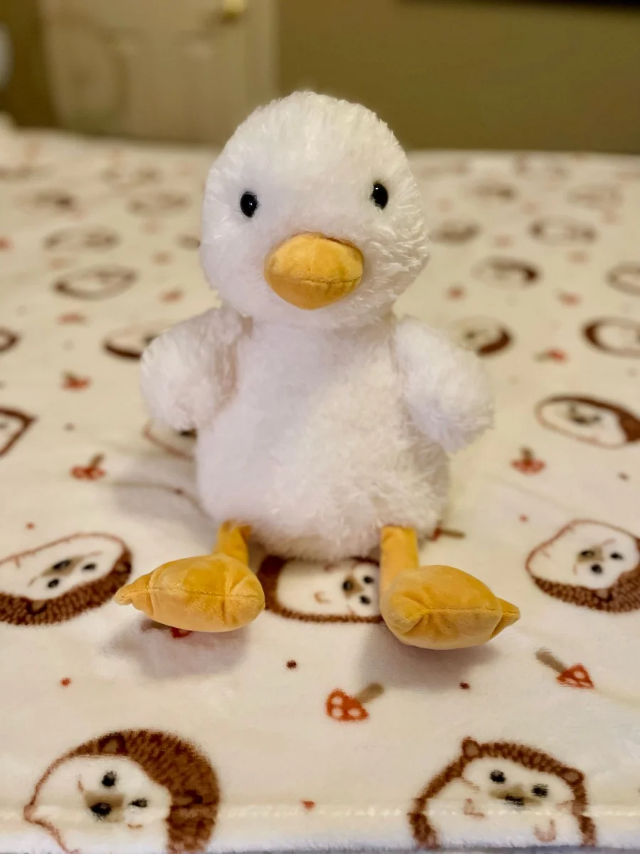 Front - Dory Duck photo by Lollysjellycats