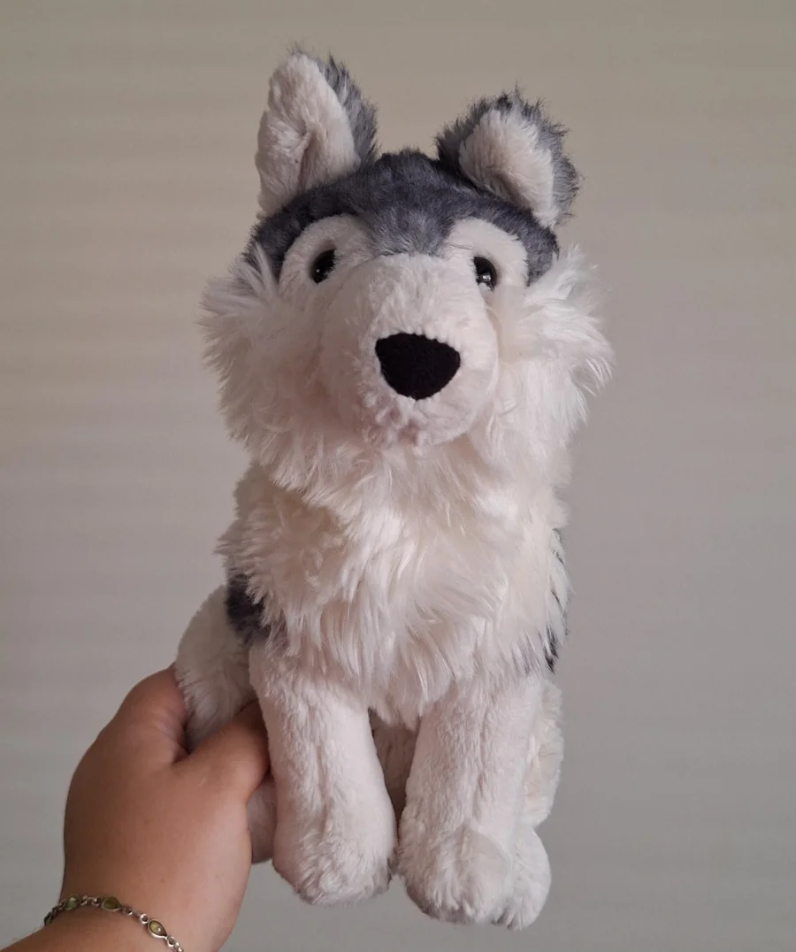 Front - Jackson Husky photo by gaia