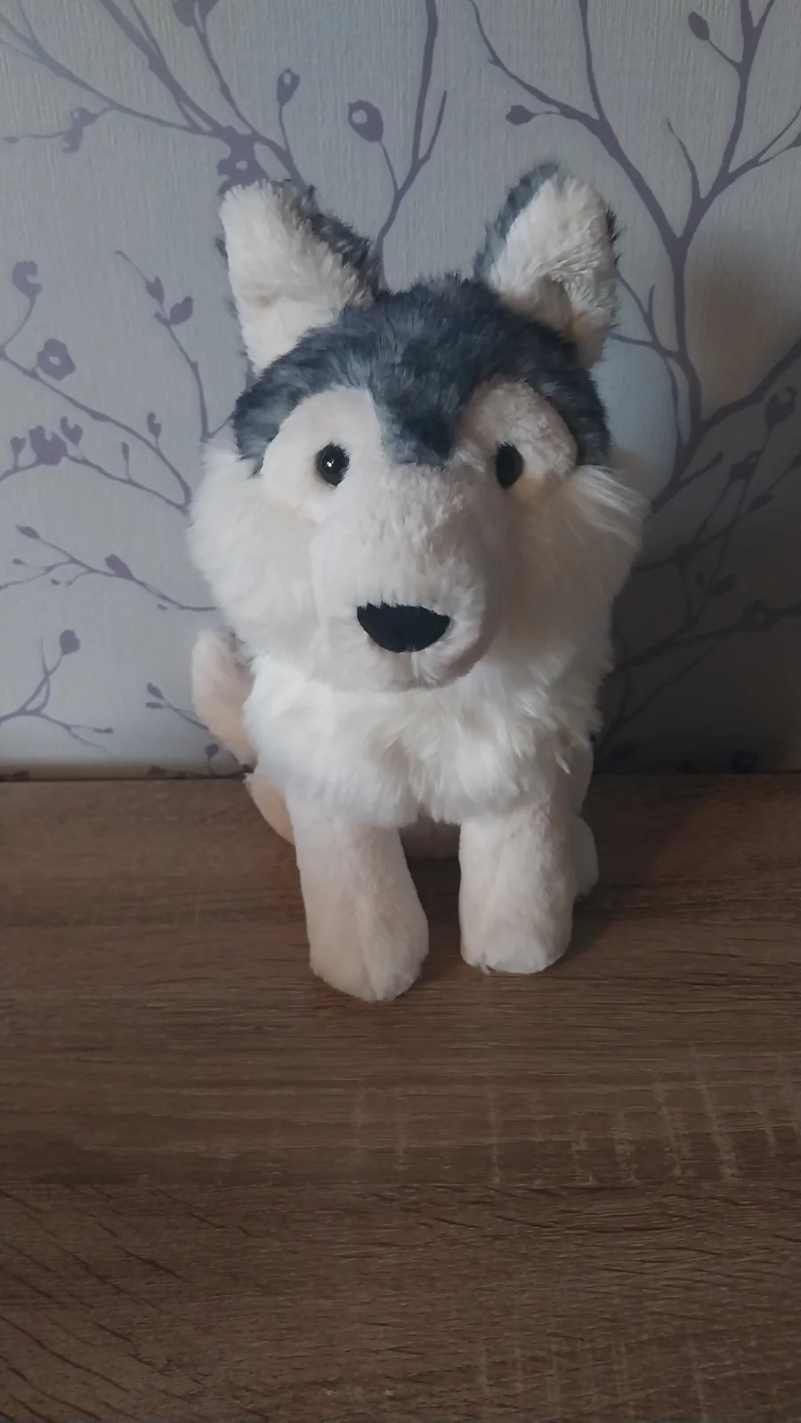Front - Jackson Husky photo by Hope_Collectablez