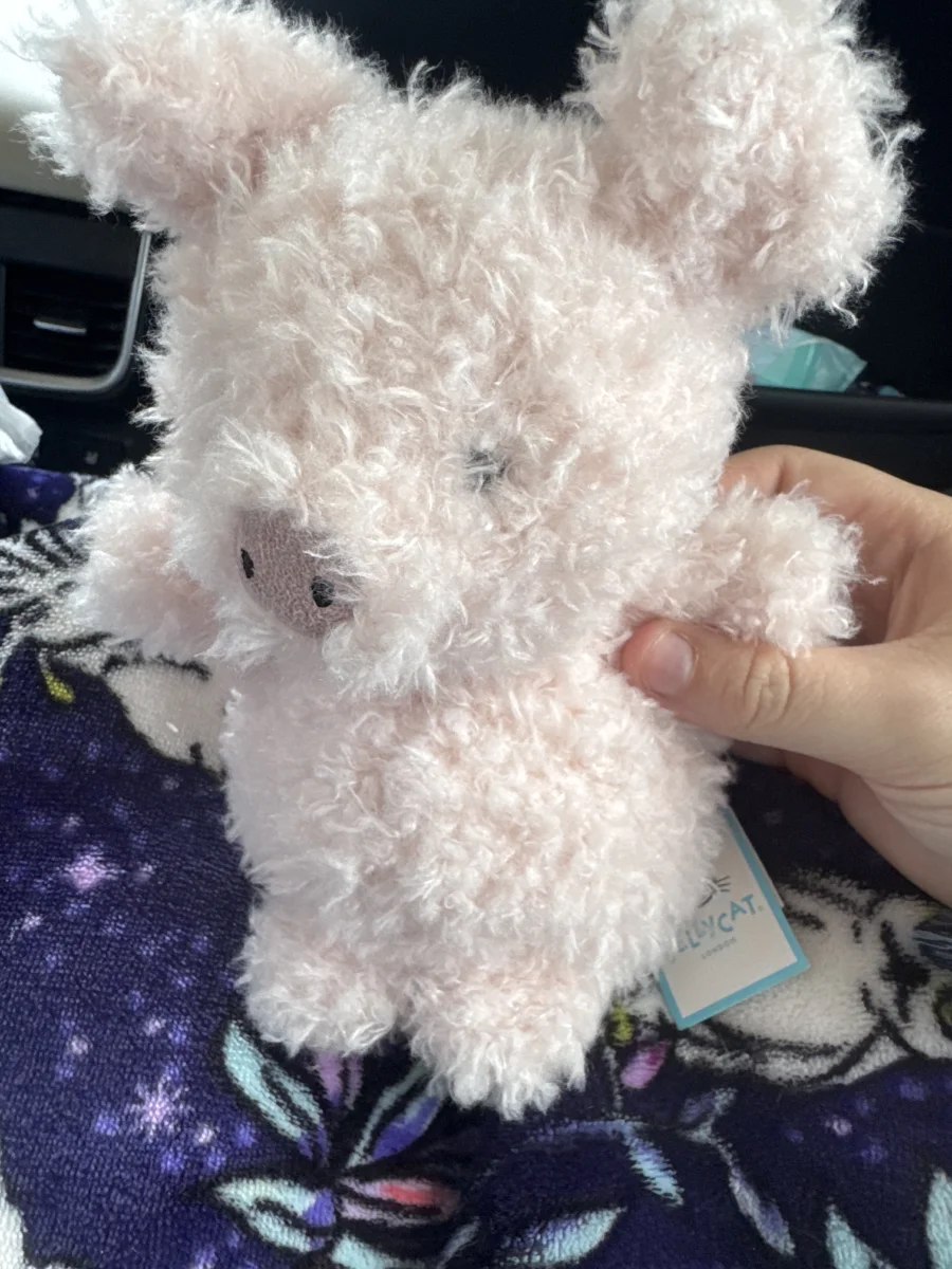 Front - Little Pig photo by Kailee_xoxo