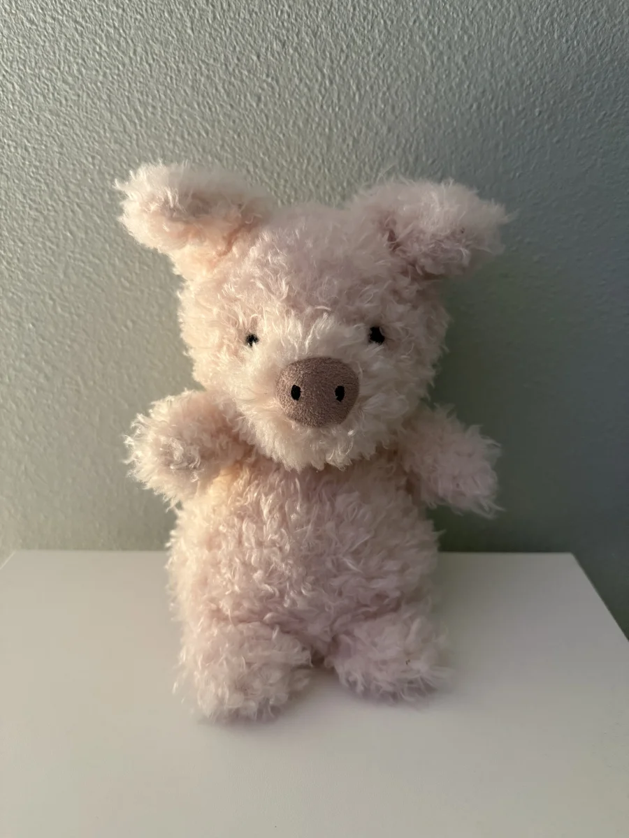 Front - Little Pig photo by Haley_summers