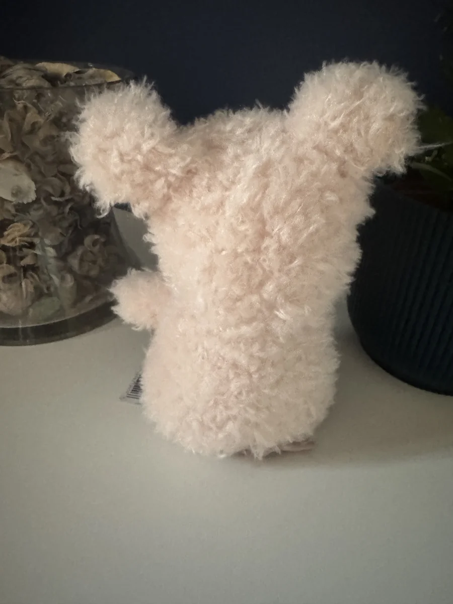 Back - Little Pig photo by Lottiescoll1