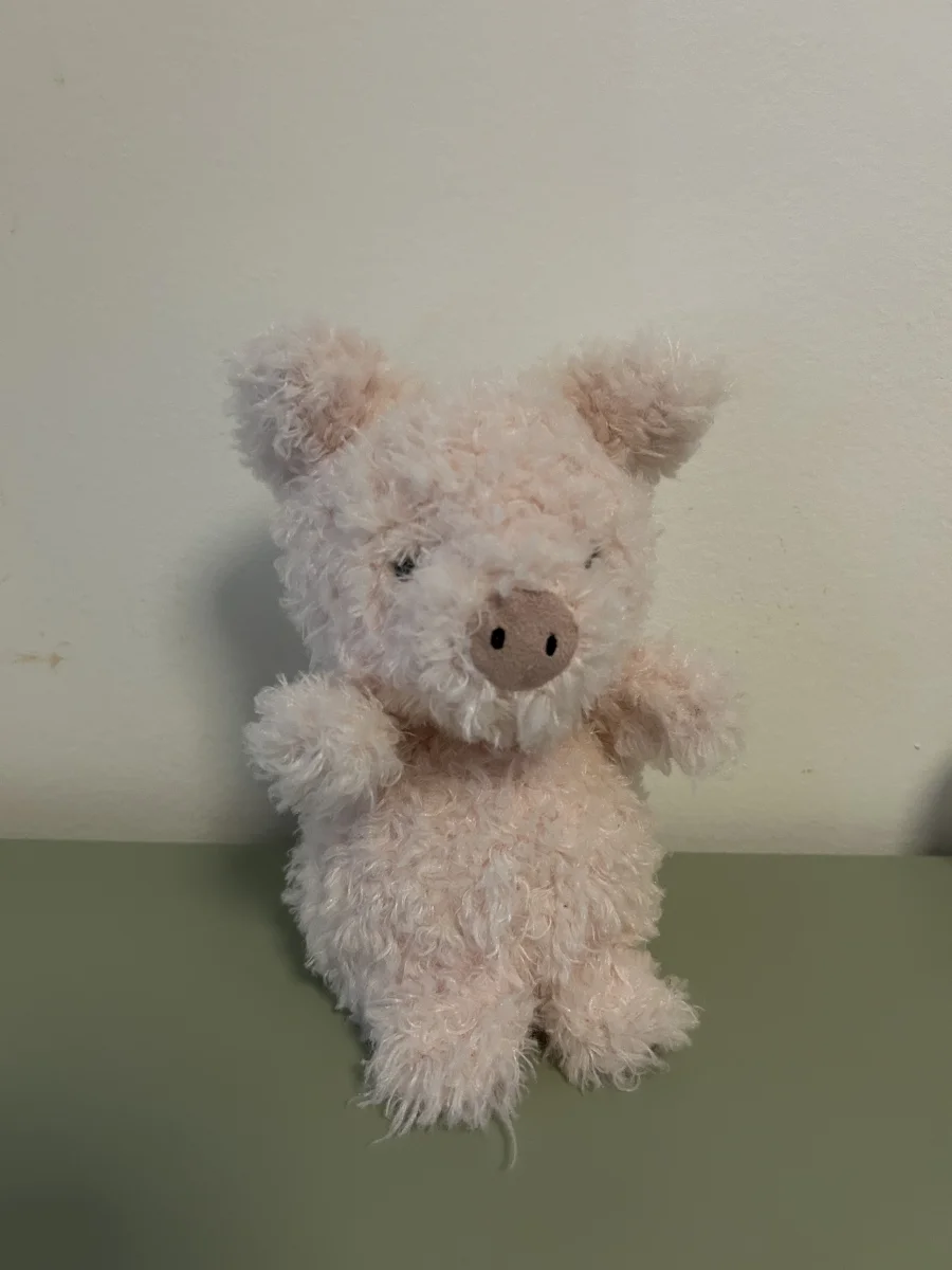 Front - Little Pig photo by Martineee
