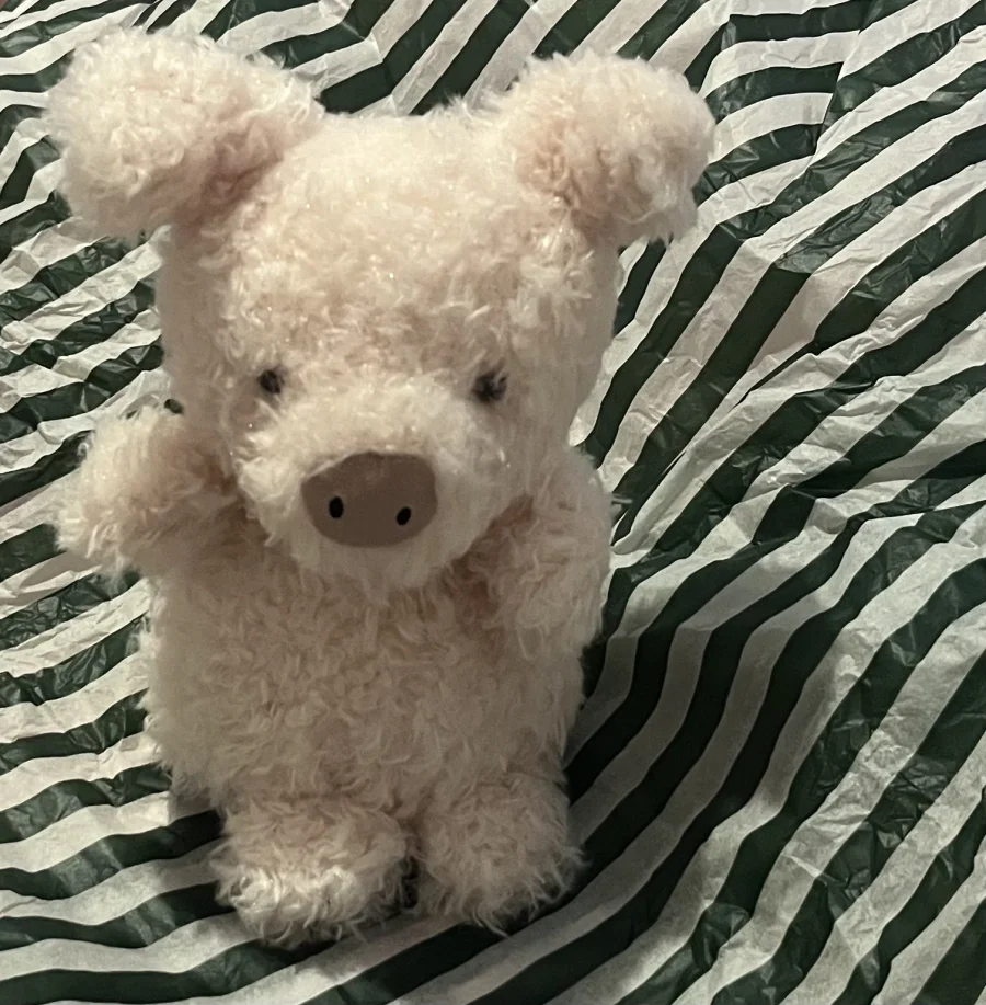 Front - Little Pig photo by ElfHero