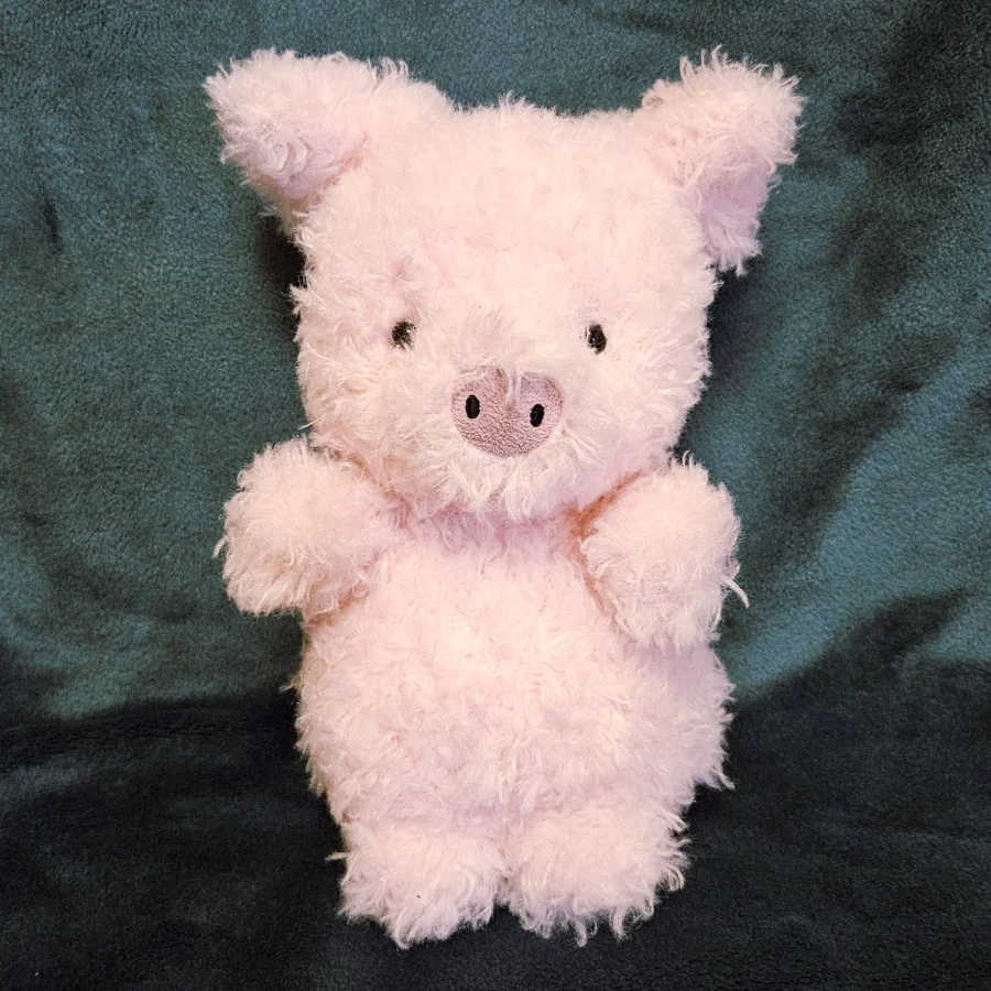 Front - Little Pig photo by minnievan
