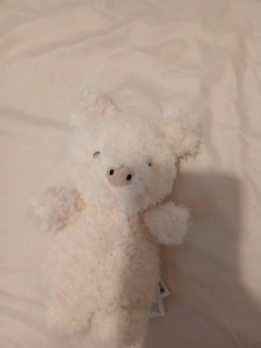 Front - Little Pig photo by Ameliaj2015